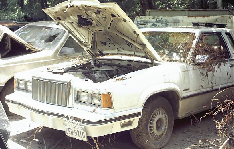 White 1985 Ford LTD Crown Victoria with hood open, parked in junkyard. Another car is visible to the left