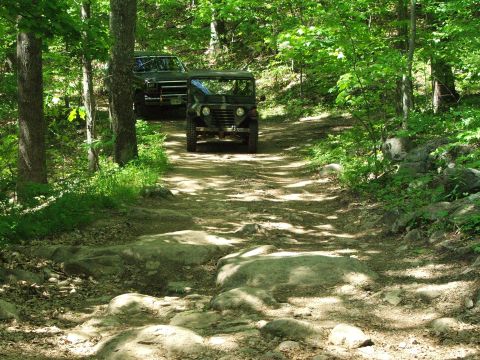 1996 Ford Bronco - Two vehicles navigate a challenging, rocky path through a dense forest on a sunny day.