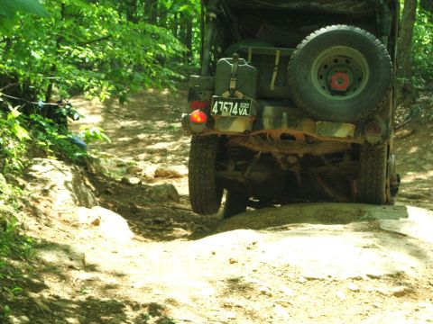 1996 Ford Bronco - A vehicle navigates a rough, wooded trail with a spare tire mounted on the rear.
