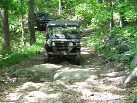 1996 Ford Bronco - Two off-road vehicles traverse a challenging, rocky path through a dense forest on a sunny day.