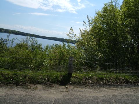 1998 Ford Taurus - Scenic view of a lake bordered by trees, seen from the side of a road.
