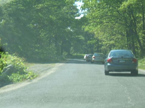 1998 Ford Taurus - A line of cars travels down a paved road surrounded by lush green trees.