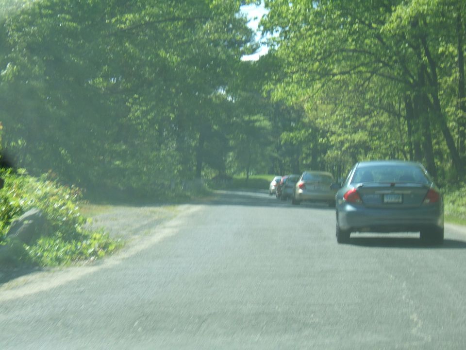 Several cars driving down a road with trees on both sides. The closest car is a dark sedan