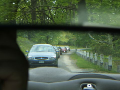 1998 Ford Taurus - A line of cars, including a 1998 Ford Taurus, travels down a rural dirt road.