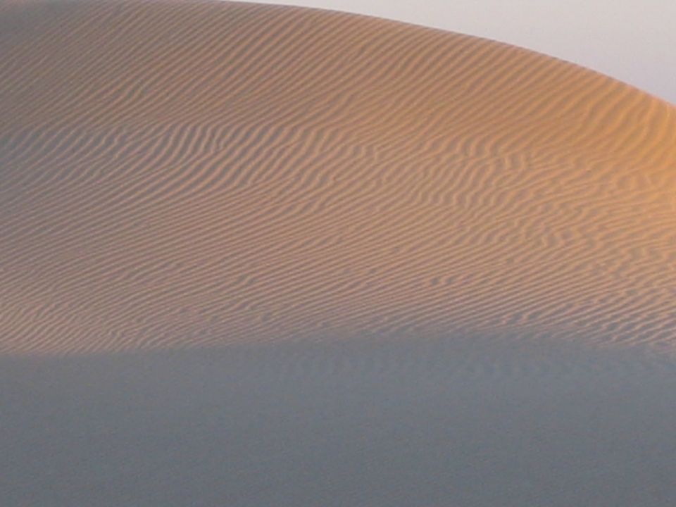 Sand dunes with rippled texture under soft light