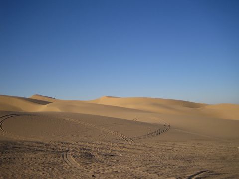 1968 Ford Mustang - Tire tracks mark the sandy terrain of dunes, suggesting recent vehicle activity in this desert landscape.