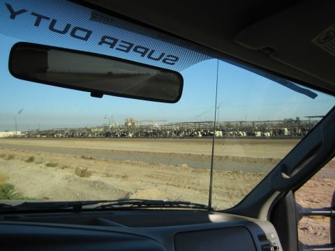 1968 Ford Mustang - Dairy farm scene viewed from inside a vehicle, with 'SUPER DUTY' text on the windshield.