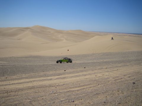 1968 Ford Mustang - A green dune buggy navigates the sandy terrain of a desert with rolling dunes and a clear blue sky overhead.