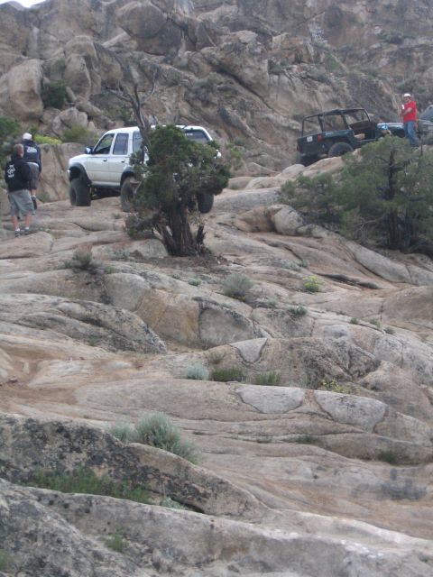 1993 Toyota 4Runner “Party Wagon”