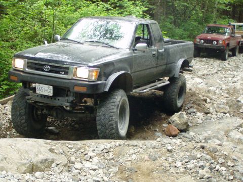 1985 Ford F-150 - well this is the only attempt we got to photograph as he just crawled right up the middle...