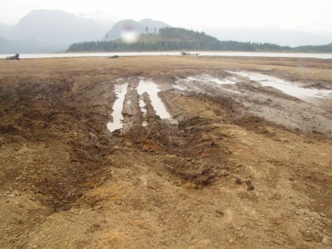 1985 Ford F-150 - now down in the mud flats... this looks like a good start...