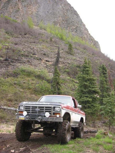 1985 Ford Bronco - Bronco poser shot..