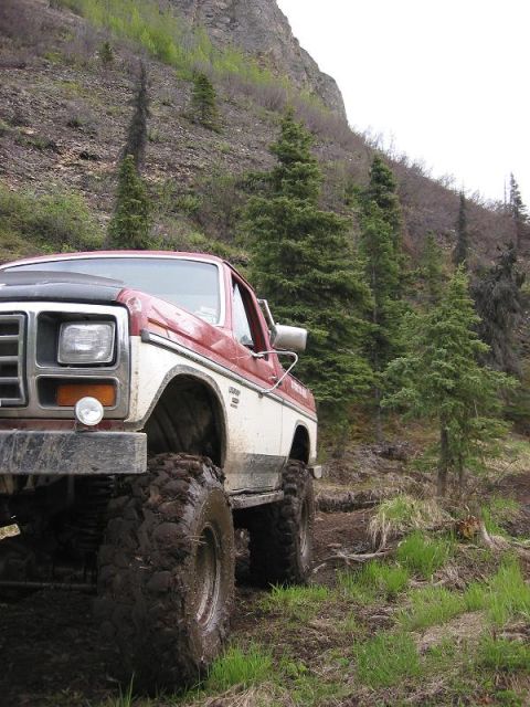 1985 Ford Bronco - Another Bronco Poser shot.