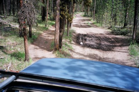 1990 Ford Bronco - Trails 1