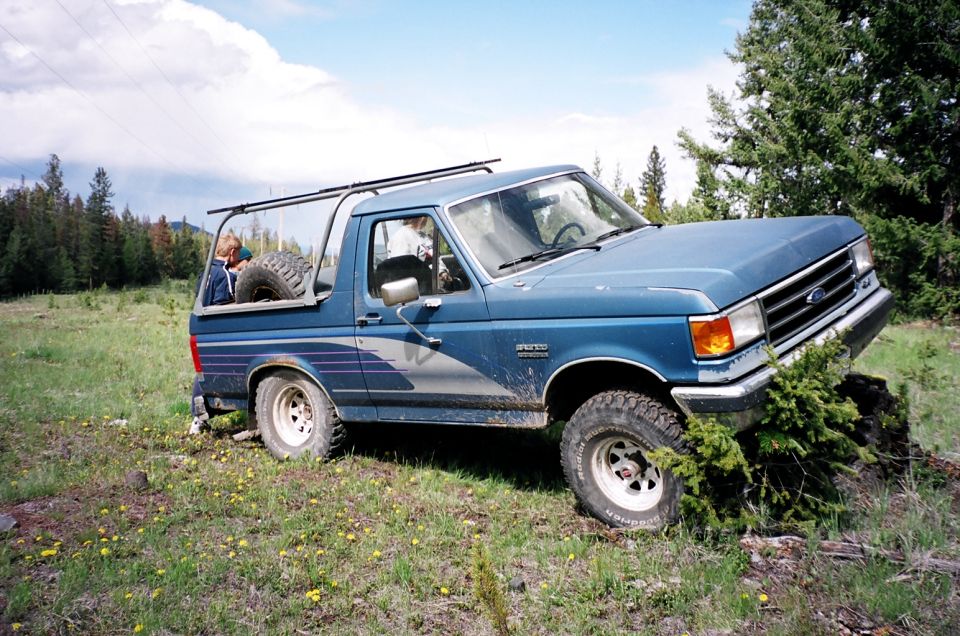 Blue Ford Bronco with roof rack off-camber on a stump in a grassy forest clearing