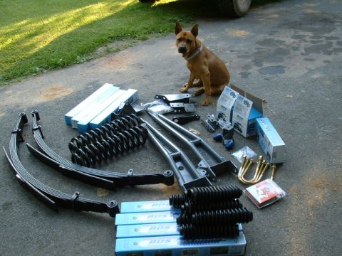 1991 Ford Bronco - My entire BDS 6" kit....minus the dog