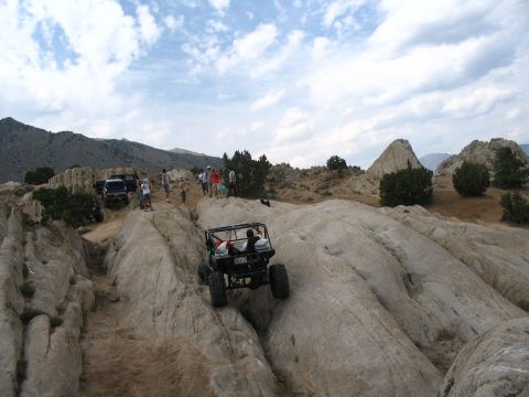 1993 Toyota 4Runner “Party Wagon”