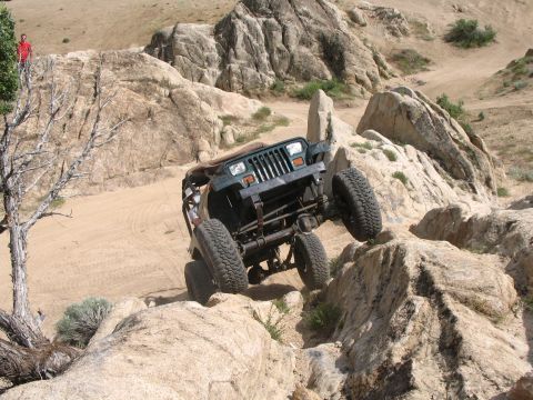 1993 Toyota 4Runner “Party Wagon”