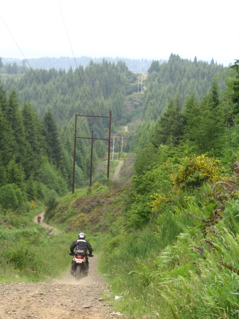 Some hard core riders took the powerline roads.