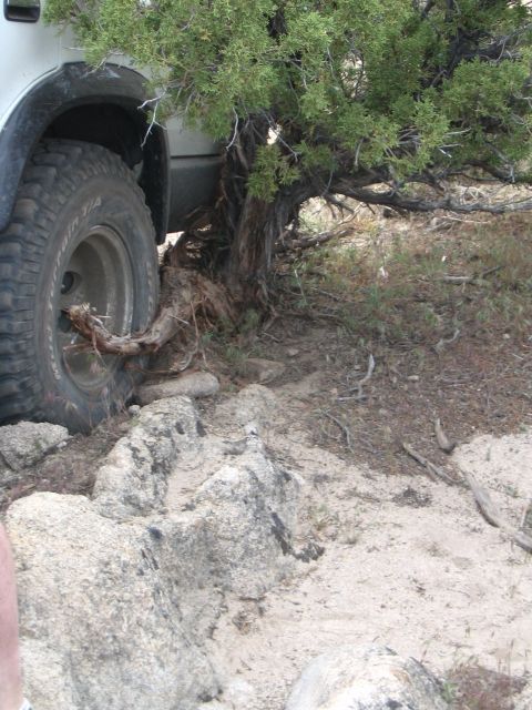 1993 Toyota 4Runner “Party Wagon”