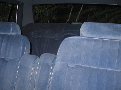 1991 Ford LTD Crown Victoria - Interior view of blue velour rear seats and headrests, with a view of trees through the rear window.