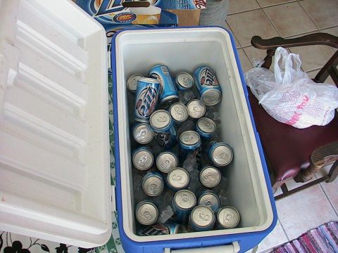 1993 Ford Taurus - A blue cooler is filled with many aluminum cans and ice, ready for a gathering.