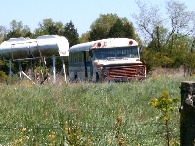 White school bus with rusted orange grille, parked in tall grass