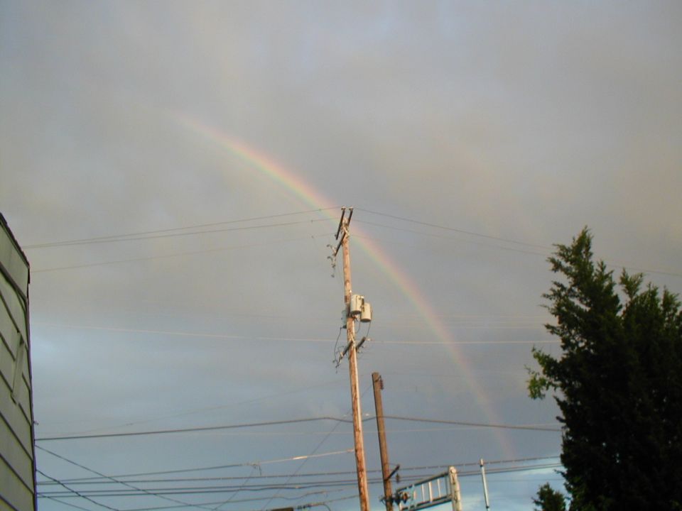 Rainbow arc over a telephone pole with power lines and a tree