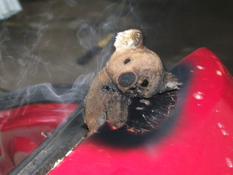1998 Ford Taurus - Teddy bear appears to have melted onto a car's red body panel, emitting smoke.