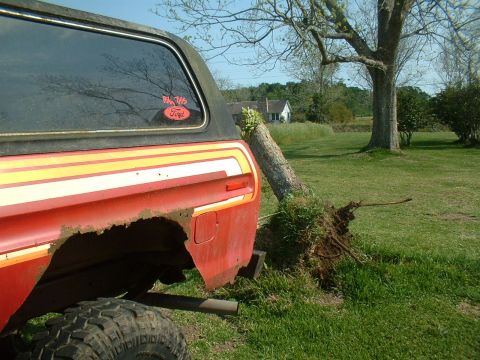 1978 Ford Bronco - Rear view of a 1978 Ford Bronco showing rust damage and a distinctive side stripe.
