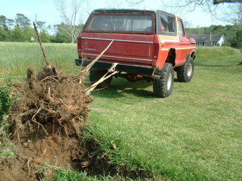 1978 Ford Bronco - A red 1978 Ford Bronco is shown from the rear, with a large tree stump being pulled out of the ground behind it.