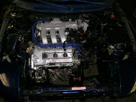 1994 Ford Probe - Engine bay of a blue car, showing a V6 engine with silver intake manifold and blue spark plug wires.