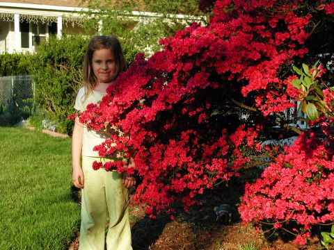 1992 Ford Taurus - A young girl poses in front of a vibrant flowering bush in a residential yard.