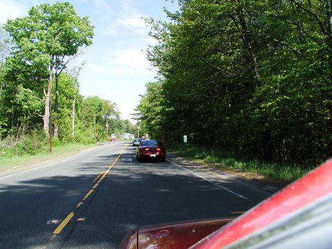 1992 Ford Taurus - A red car travels down a tree-lined road, viewed from the perspective of a following vehicle.