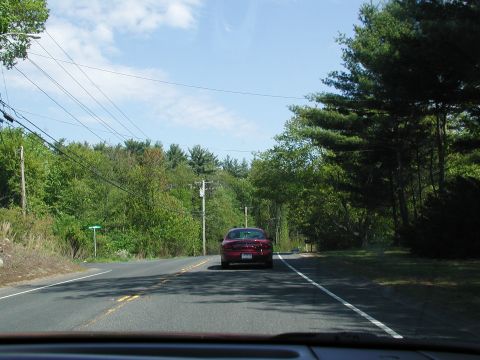 1992 Ford Taurus - A red 1992 Ford Taurus is seen from behind as it travels down a tree-lined road.