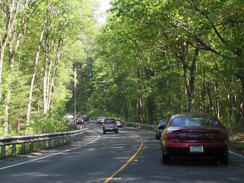 1992 Ford Taurus - A red 1992 Ford Taurus drives along a scenic, tree-lined road with other vehicles present.