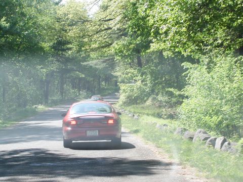 1992 Ford Taurus - A red sedan drives down a rural road surrounded by lush green trees.