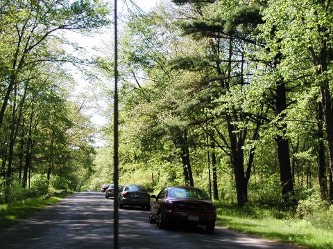 1992 Ford Taurus - Cars are seen on a road in a wooded area during the daytime.