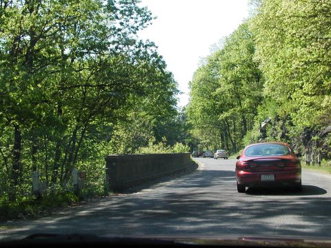 1992 Ford Taurus - Driving on a scenic road surrounded by lush green trees.