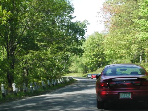 1992 Ford Taurus - A red sedan drives down a road lined with trees, with other vehicles visible ahead.