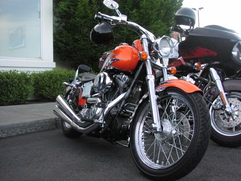 1979 Ford Bronco - Two motorcycles are parked side-by-side outdoors, with one in a bright orange color.