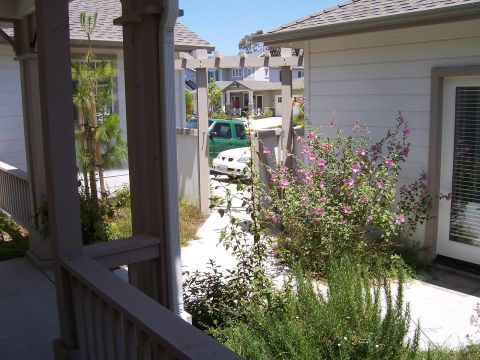 1998 Ford Ranger - front area, taken from porch