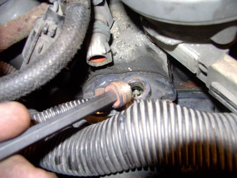 1986 Ford Bronco - Here's a shot of it with the plug pulled out, so I could try the sender unit in the threads (to be sure). You can just see the actual T-sta…