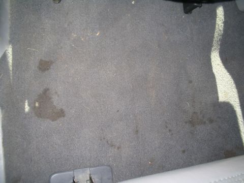 1999 Ford Expedition photo