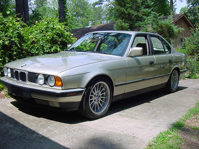 Front three-quarter view of a champagne BMW 5 Series sedan on a wooded driveway