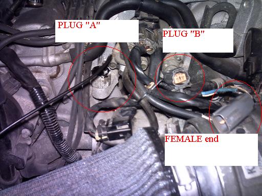 Engine bay wiring photo annotated with red circles labeling Plug A, Plug B and female connector