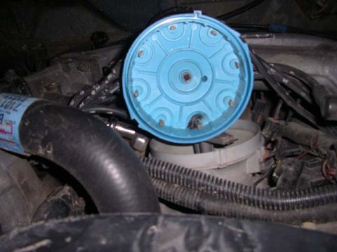 1984 Ford Bronco II - Close-up view of engine components, including a blue distributor cap and spark plug wires.
