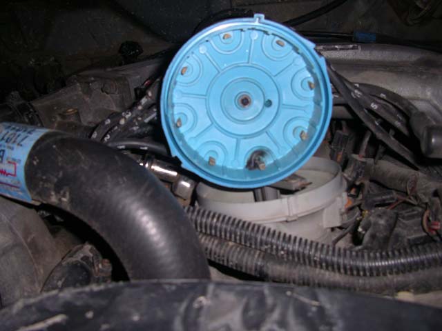 Blue distributor cap removed from engine, showing spark plug wires and hoses