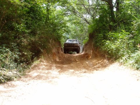 1990 Ford Bronco - A Ford Bronco navigates a narrow, overgrown dirt road.