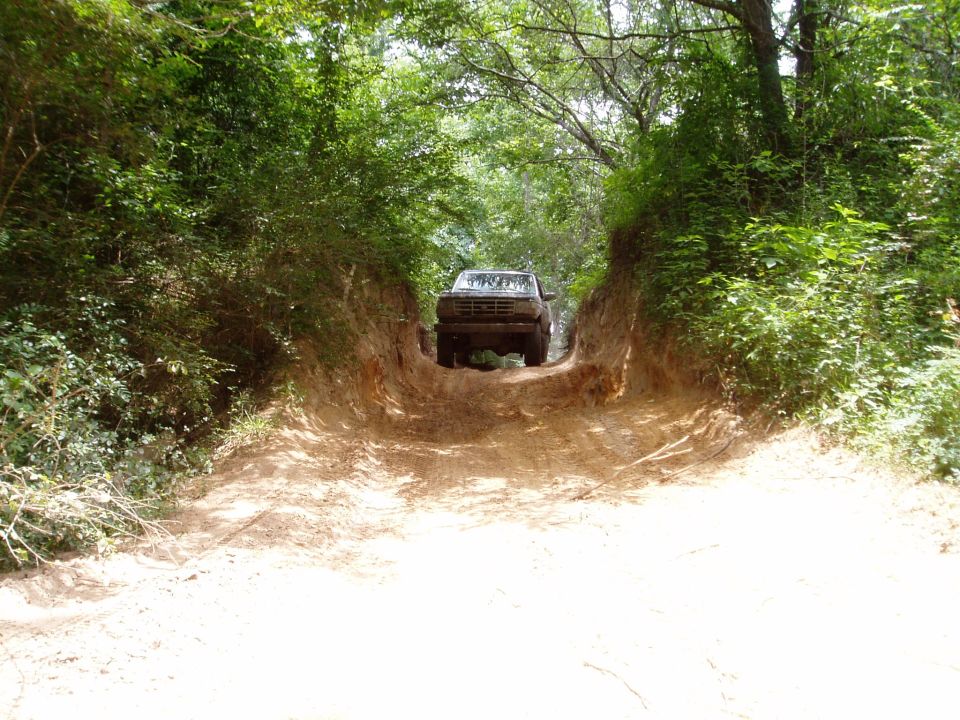 Ford Bronco driving up a dirt path surrounded by trees